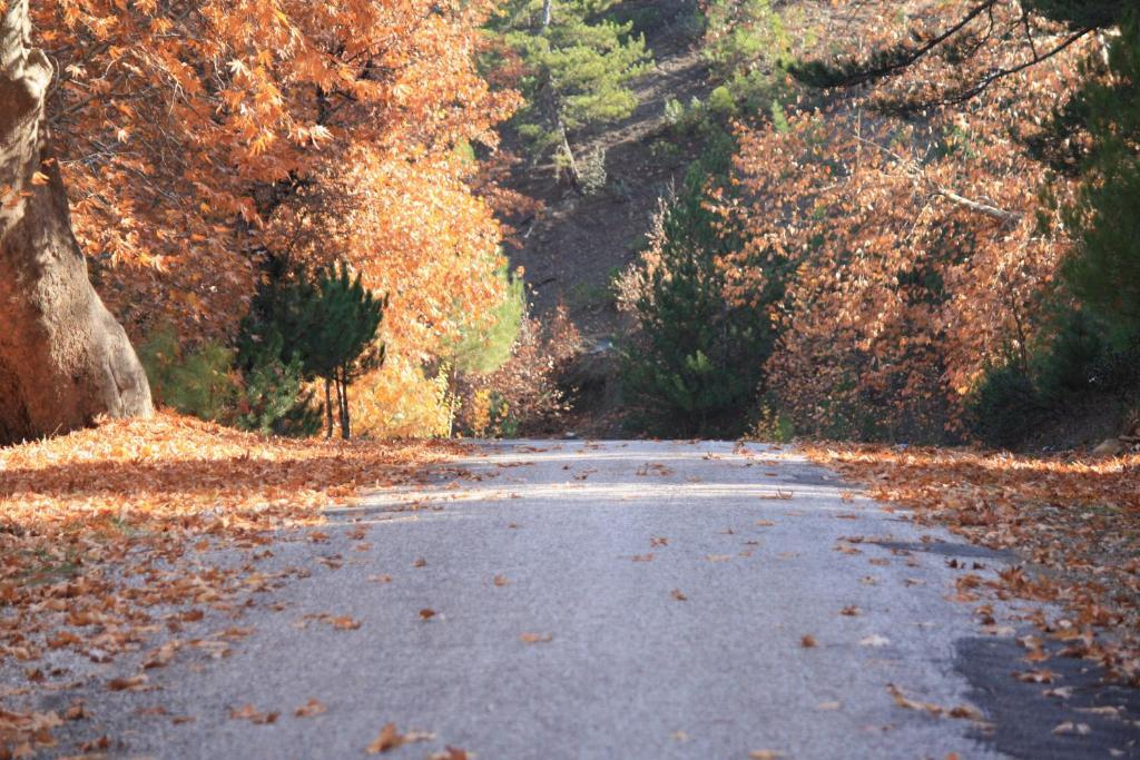 St.Paul Yol Pansiyon Kasimlar Экстерьер фото