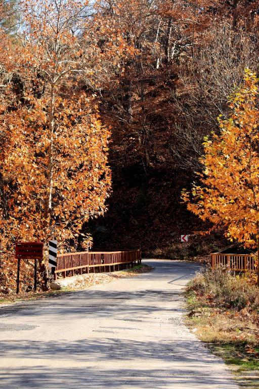 St.Paul Yol Pansiyon Kasimlar Экстерьер фото